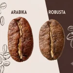 تفاوت قهوه عربیکا و روبوستا چیست؟ راهنمای کامل انتخاب قهوه