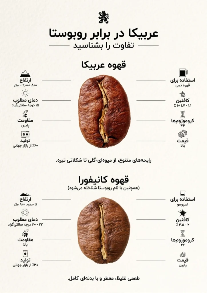تفاوت قهوه عربیکا و روبوستا چیست؟ 2 مقایسه عربیکا و روبوستا از نظر طعم و کافئین